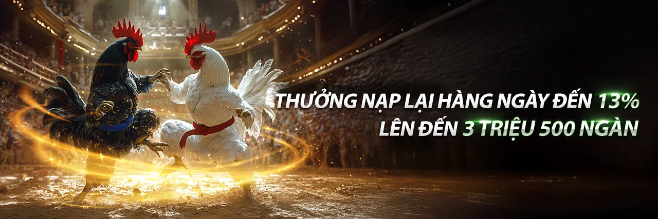 Sân đấu đá gà trực tuyến ee888 nhà cái