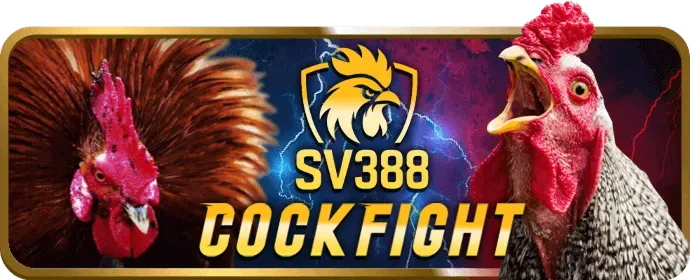 Hoàn trả cược slot game